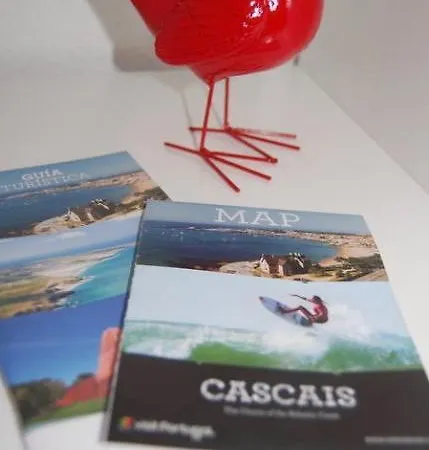 Dom Bosco * 에수투릴